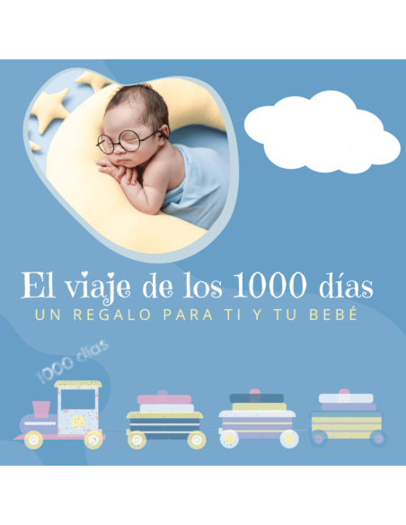 🎁 Gâteau De Couches + Voyage 🍼 | Cadeau Original pour Bébé
