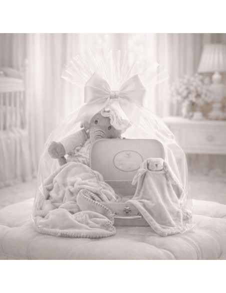 Coffret bébé valise, couverture et doudou personnalisés | Cadeau naissance raffiné