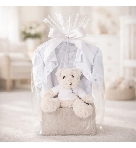 Set Vintage bébé Hugo Boss | Panier naissance élégant